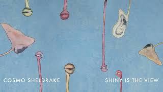 Cosmo Sheldrake - Shiny Is The View (ft. Bunty)