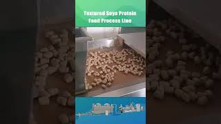 Textured Soya Protein production line in the customer's factory