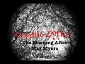 Meg Myers - The Morning After (HQ Lyrics)