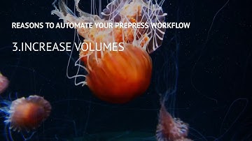 PrintFactory WorkFlow 3