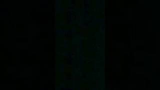 Celebrity School subjects colors Net Worth