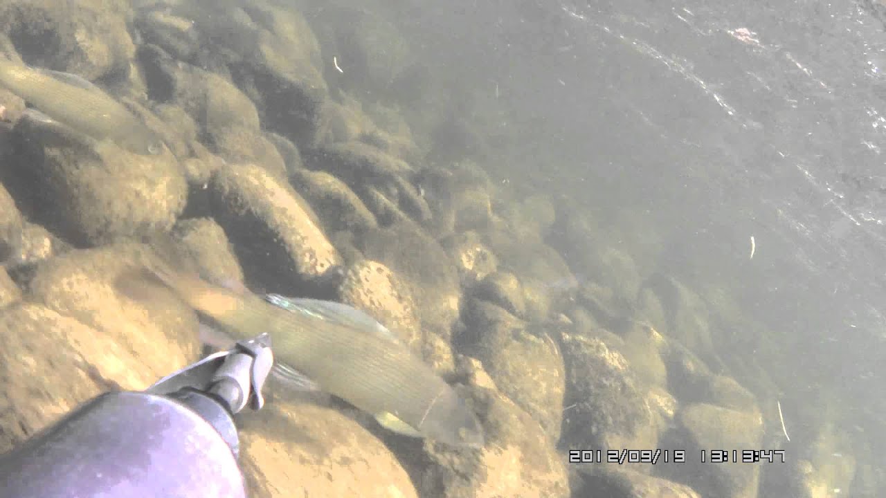 Озеро зункарь нефтекумский район Озеро зункарь нефтекумский район