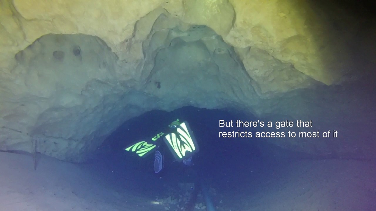 Vortex Spring Dive 02/12/2017 YouTube