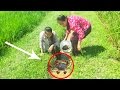 Amazing Crab At Rice Field - Two Beautiful Girls Catch Crab At Countryside