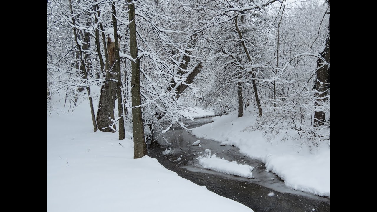 Where is Spring?? Snowstorm Update YouTube