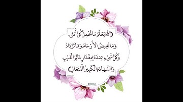 الله يعلم ماتحمل كل أنثى اجمل تلاوة _حالات واتساب