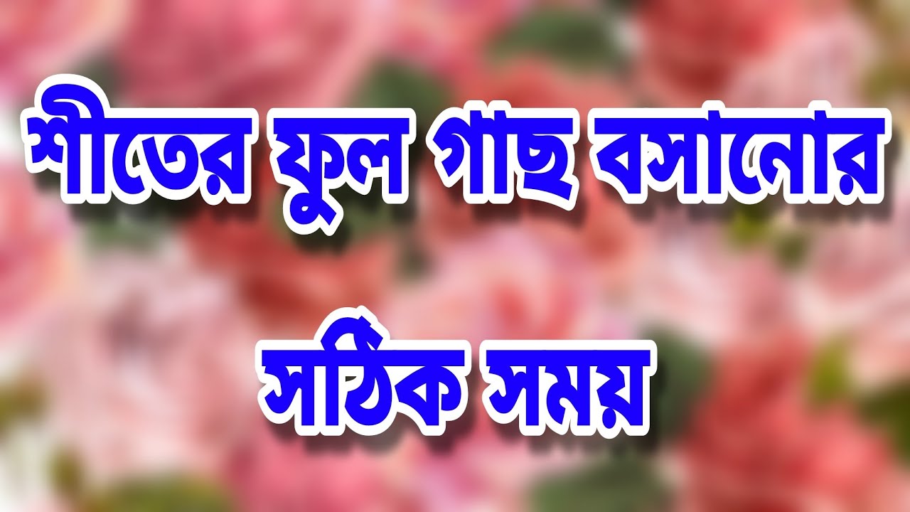 Best Time To best-time-to