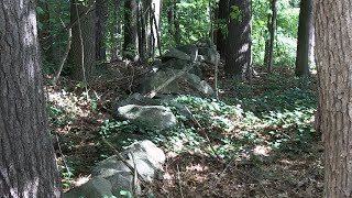 Burlington History Uncovered: The History of New England Stone Walls