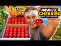 Why Japanese Cherries Cost $11,500 a Box