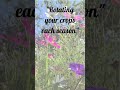 Garden facts you need to know  learn  grow with me shorts