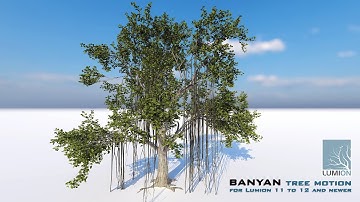 Banyan tree animation for Lumion 11 to 12 and newer | Lumion Easy