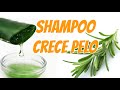 Agrega este ingrediente a tu Shampoo y Mira Como tu cabello crece sin parar | Pelo Largo y Abundante