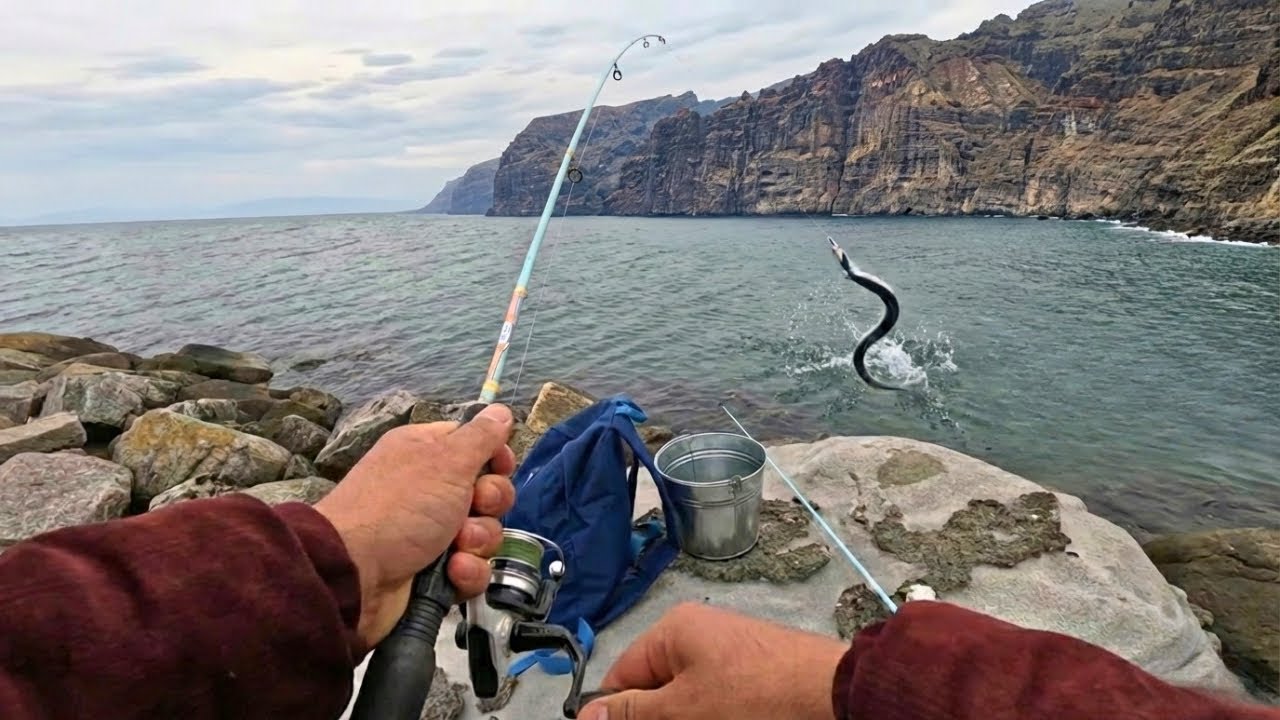 It looks like a Snake, but it has a BEAK! This fish is so freaky!