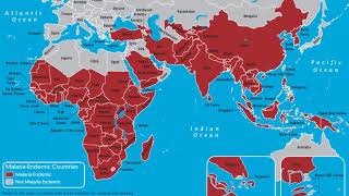 Population groups in biomedicine | Wikipedia audio article