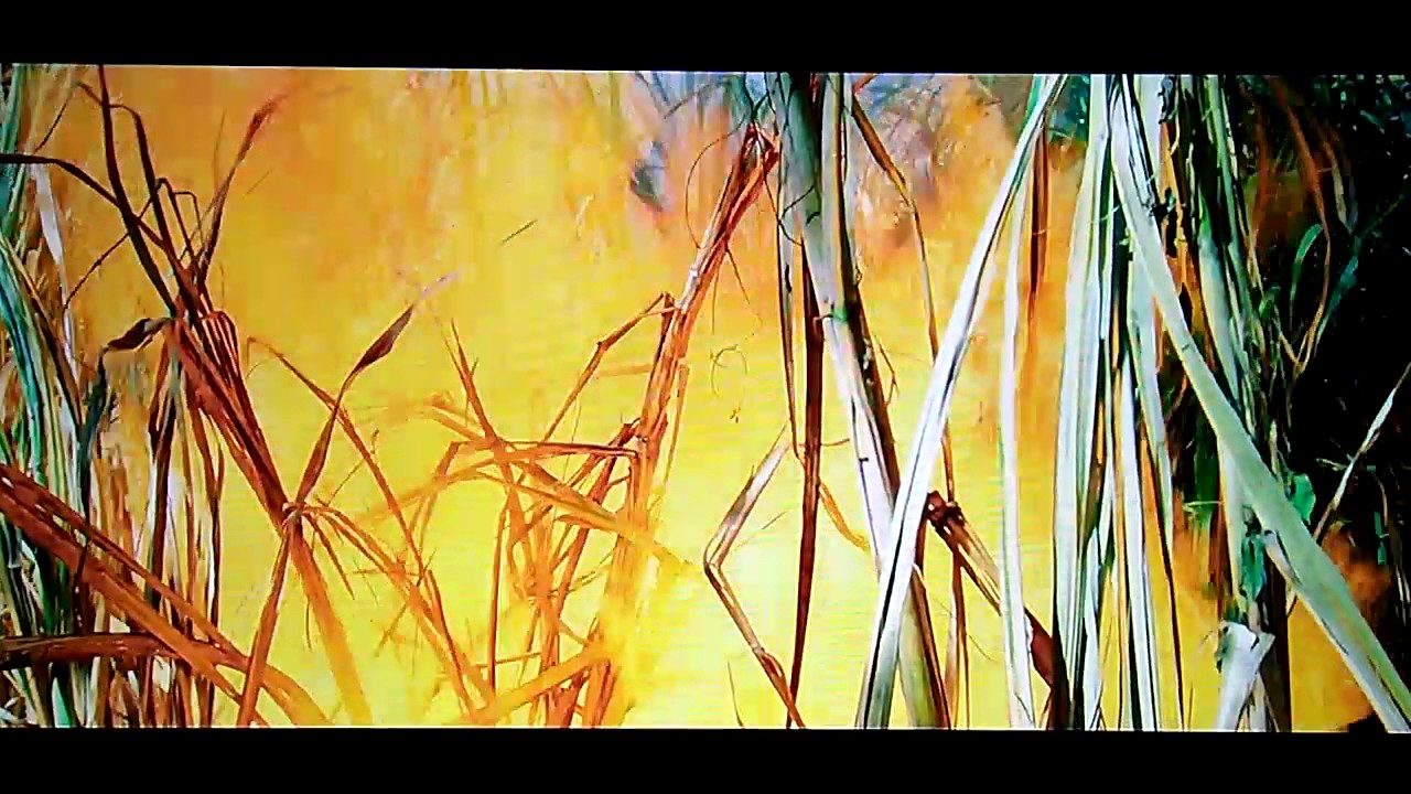 Rambo 2 explosive tips