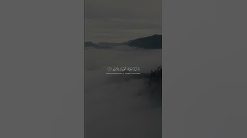 سورة طه/ شريف مصطفى