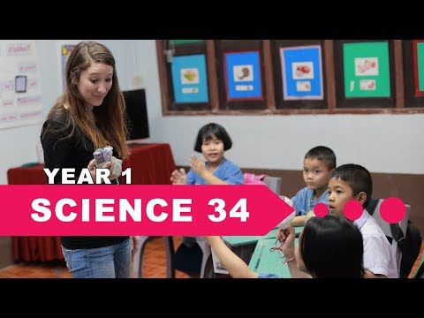 Year 1 Science,