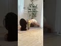 【タイプ別ぽっこりお腹解消法】 #yoga #tsukiyoga #shorts