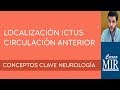 1 localizacin ictus circulacin anterior