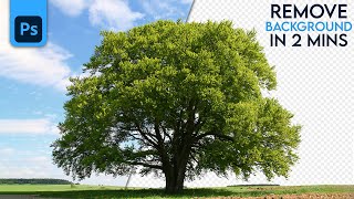 Remove Trees Background in Photoshop | By Using 2 Techniques | Cut Out Trees In Photoshop. screenshot 5