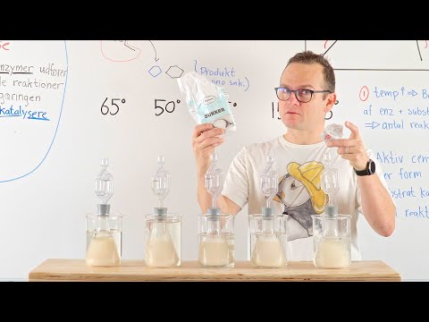 Video: Hvordan påvirker optimal temperatur enzymaktiviteten?