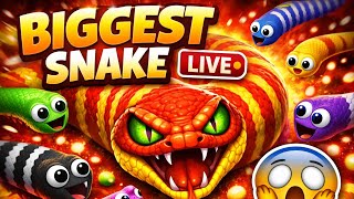🔥worm zone live 🐍 biggest snake challenge#23 🔴 Live screenshot 3