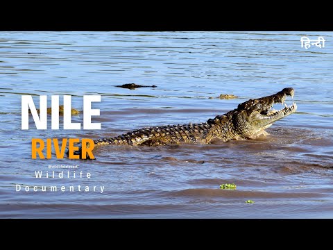 Nile River - Wild Africa, हिन्दी डॉक्यूमेंट्री | Full Episode | Wildlife documentary in hindi