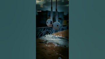 تلاوة تريح القلب 📿 #قرآن #قرآن #قران_كريم #راحة_نفسية #كرومات_قرآن #تلاوة_خاشعة #quran #islam #rells