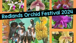 The BEST Orchid FESTIVAL!! Redlands International in the Fruit and Spice Park Part 1