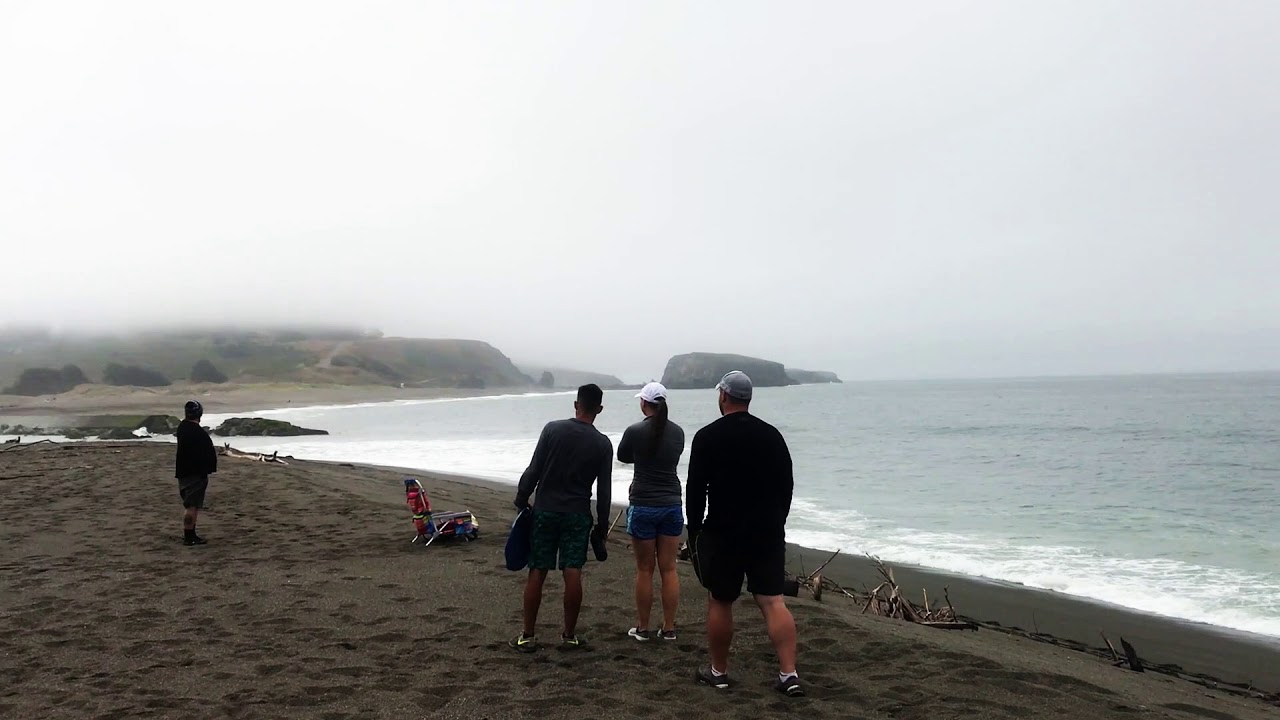 Jenner Coastal Kayak Tour YouTube