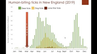 Tick Feeding and Behavior