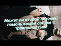 Может ли второй питомец помочь вашей собаке с тревожностью?