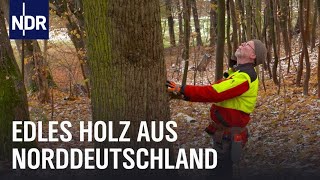 Wertholz aus NDS: Der Förster und seine besten Stücke | Die Nordreportage | NDR Doku