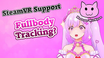 Is this the best new VR Tracking Software for VTubers?