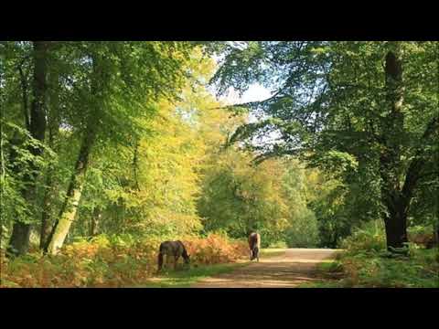 Ernest Chausson - Poème, op. 25