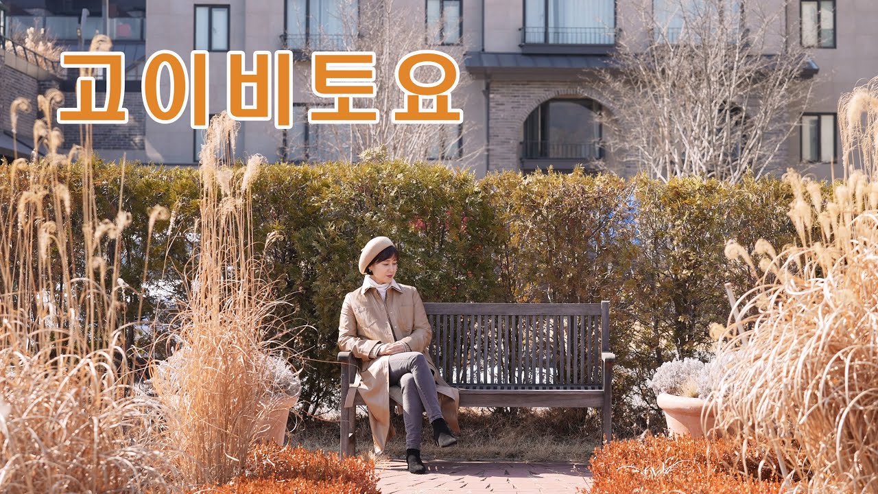 고이비토요(이쯔와마유미)/cover by 키다리밴드 tv