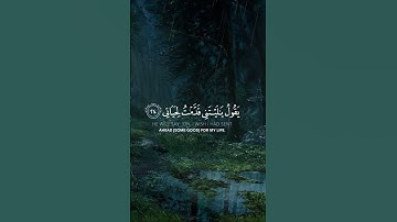 (يقول يا ليتني قدمت لحياتي )--القارئ هاني الرفاعي 🥺🎧