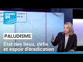 Lutte contre le paludisme  tat des lieux dfis et espoir dradication  france 24