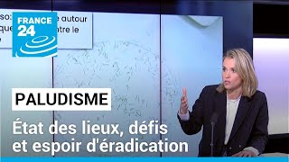 Lutte contre le paludisme : état des lieux, défis et espoir d'éradication • FRANCE 24