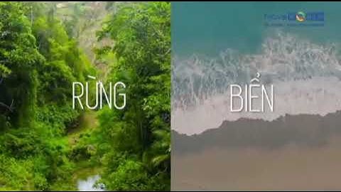 Bình Châu Onsen - Second home bên suối khoáng nóng