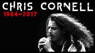 Chris Cornell Tribute Reaction