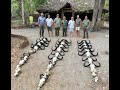 Tanzania Cape buffalo - plainsgame hunt in the Selous (Tim Herald Worldwide Trophy Adventures)2021