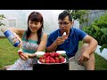 Hái Dâu Tây Và Dưa Leo Ăn Ngay Tại Vườn Nhà 🇨🇦337》 Picking Strawberries and Cucumbers