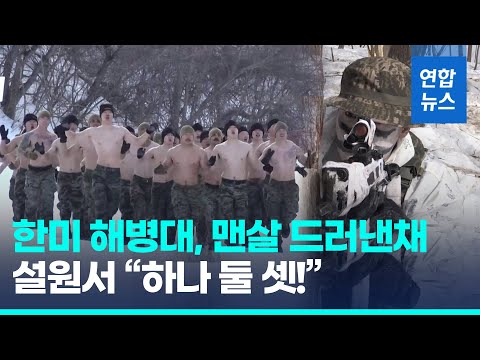 웃통 벗고 설원 위 전우애…한미 해병대, 연합 설한지 훈련 / 연합뉴스 (Yonhapnews)