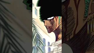 Zoro uses the Breath of all Things (Ryou)