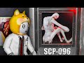 МУЗЕЙ SCP! ЗДЕСЬ СОБРАНЫ ВСЕ?