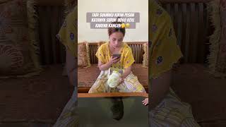 Kira kira salahku dimana ya guys🤔#komedilucu #funny #comedykocak #shorts #ngakak #kocak