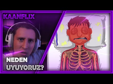 KAANFLIX | NEDEN UYUYORUZ İZLİYOR (EVRİM AĞACI)