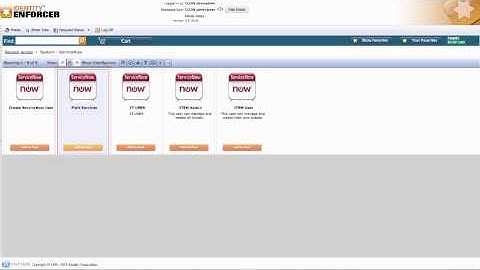 Managing ServiceNow Group Permissions in Identity Enforcer