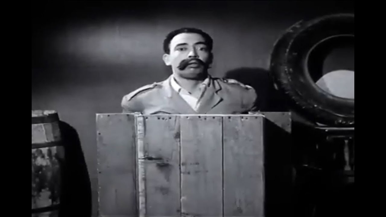 الفيلم الكوميدى نشاله هانم